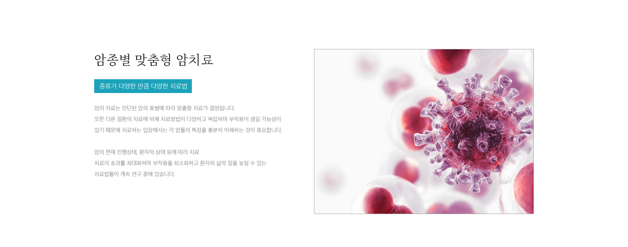 암종별 맞춤형 암치료