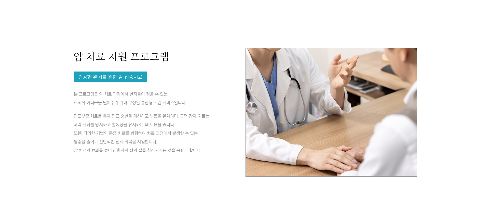 <span>암치료 지원 시스템 <span>(프로그램)</span></span>