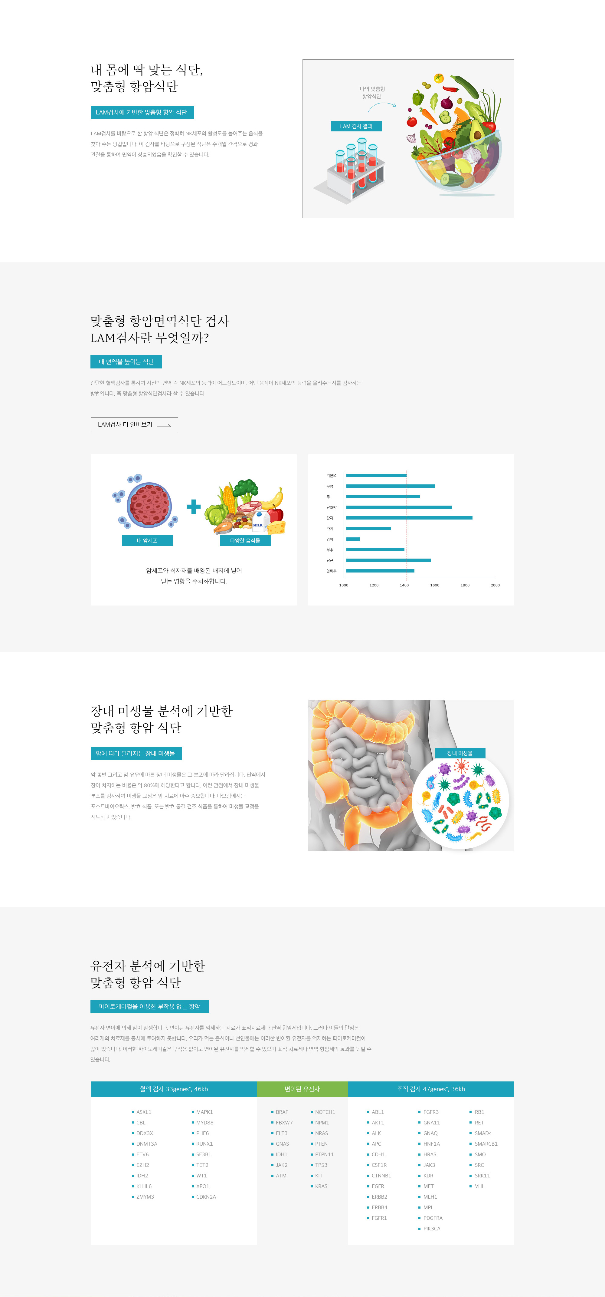 맞춤형 항암 식단